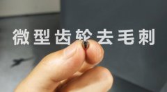  小微齿轮去毛刺清理，适合磨粒流加工！ 